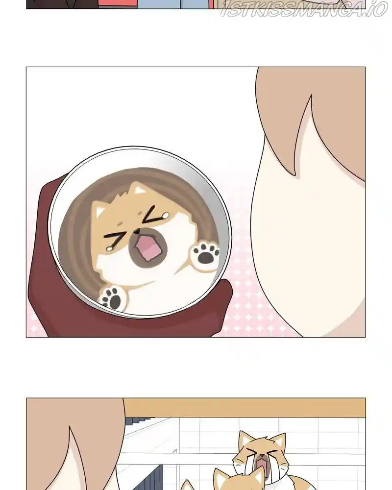 The Dog Diaries Chapter 39