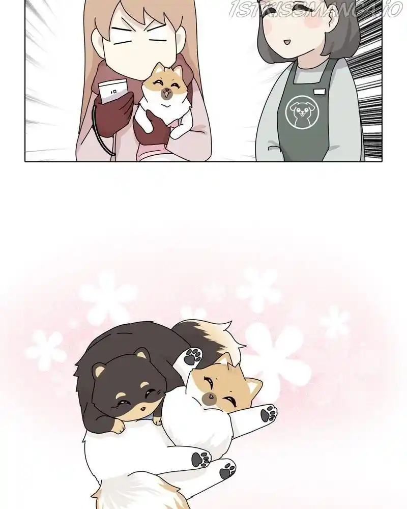 The Dog Diaries Chapter 39