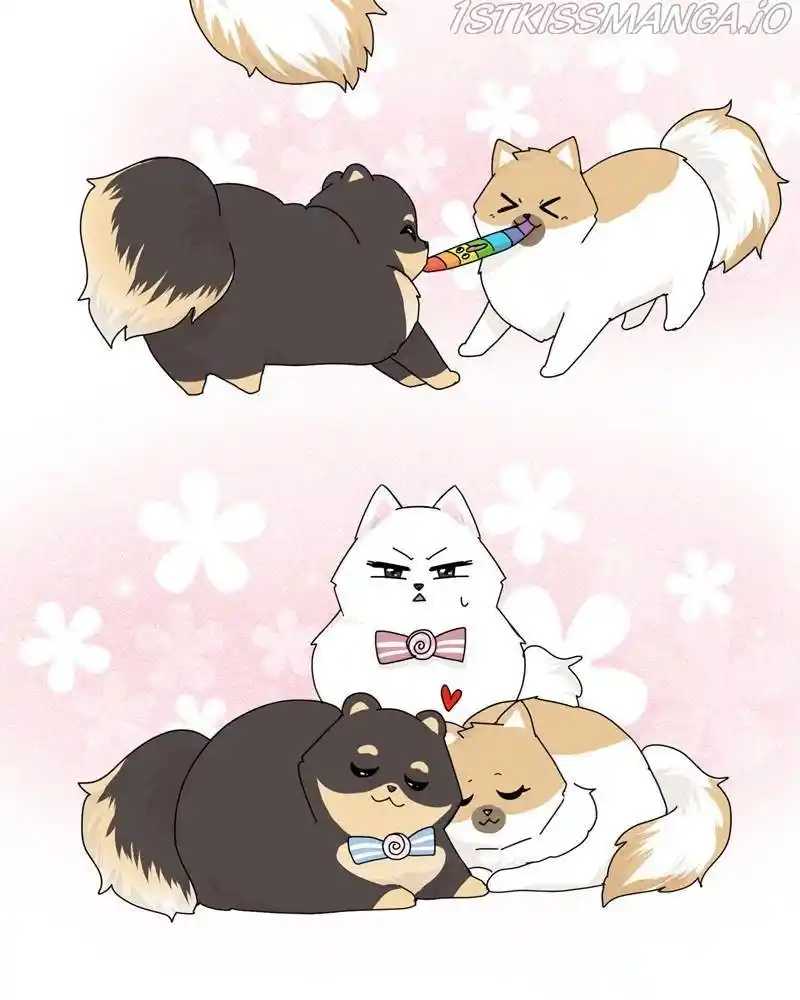 The Dog Diaries Chapter 39