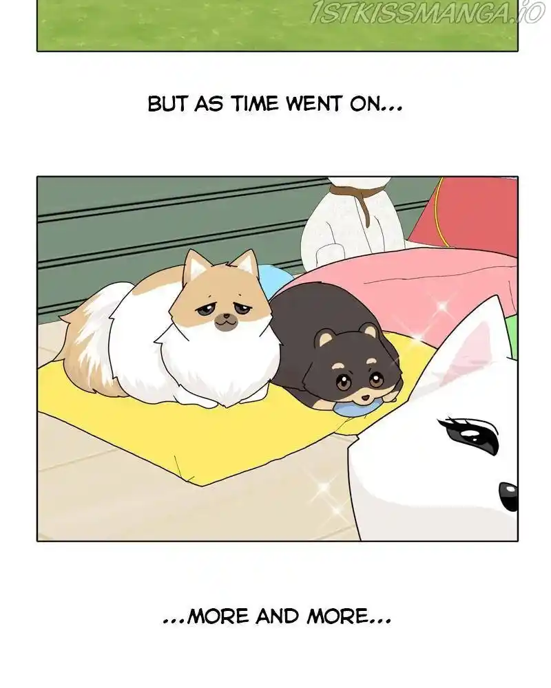 The Dog Diaries Chapter 39