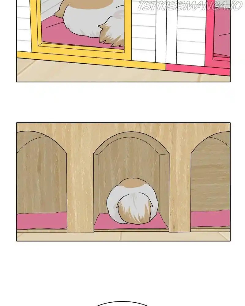 The Dog Diaries Chapter 39