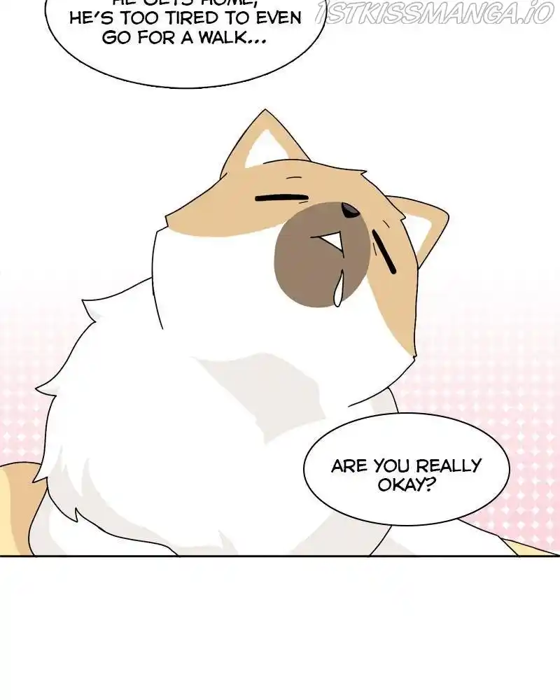 The Dog Diaries Chapter 39