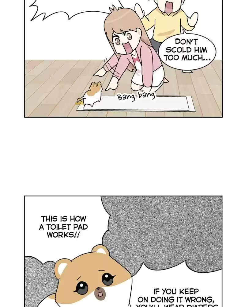 The Dog Diaries Chapter 4