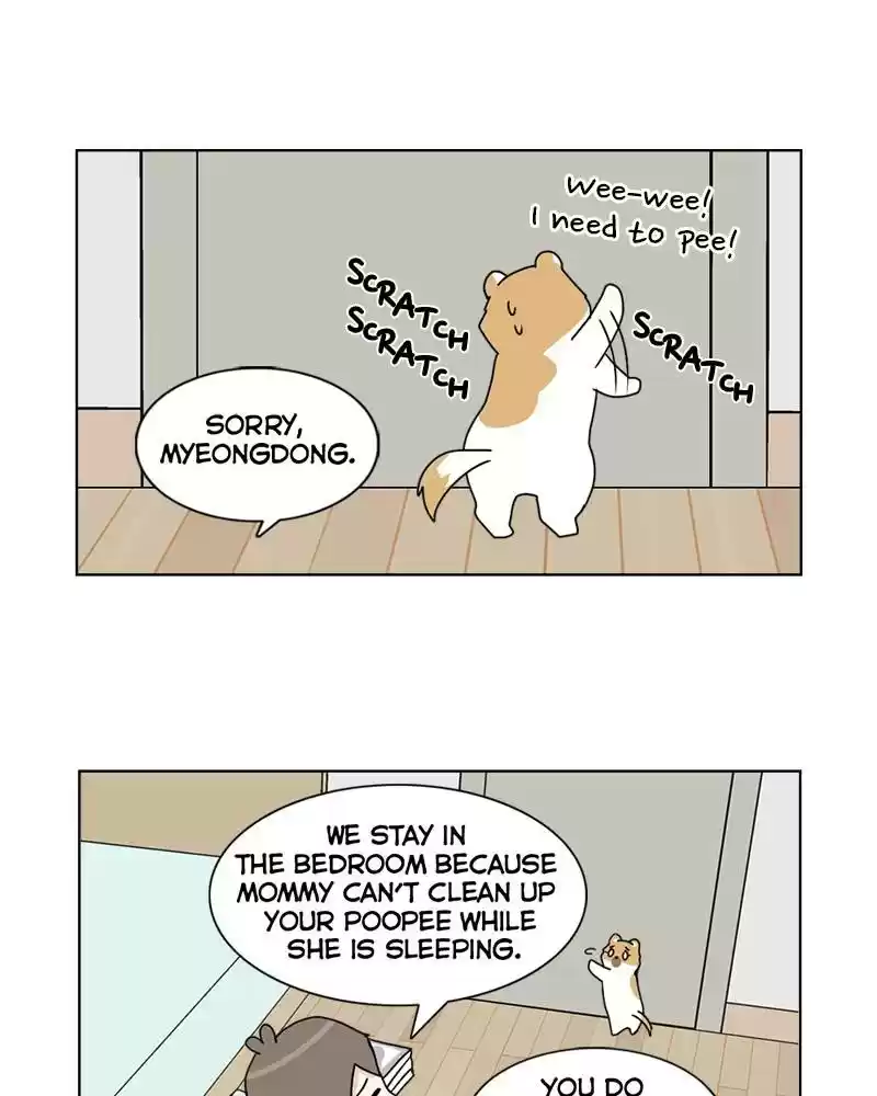 The Dog Diaries Chapter 4