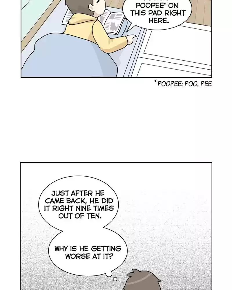 The Dog Diaries Chapter 4