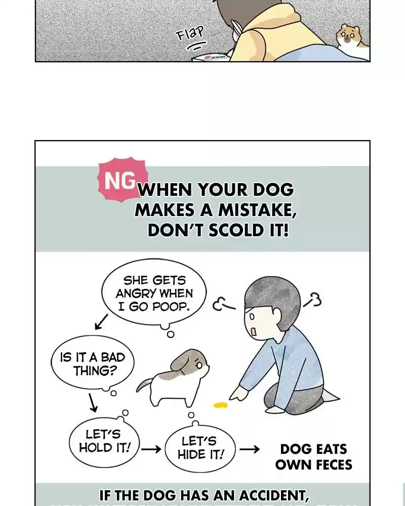 The Dog Diaries Chapter 4