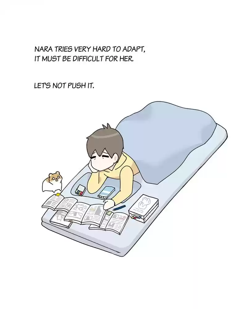 The Dog Diaries Chapter 4