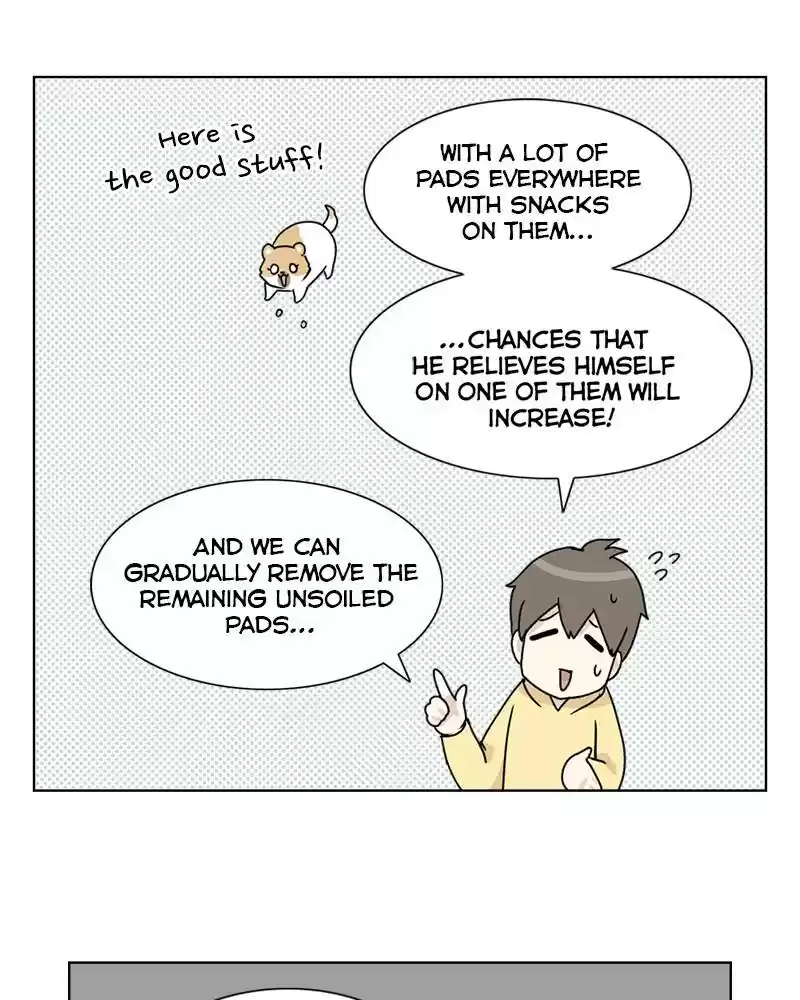 The Dog Diaries Chapter 4