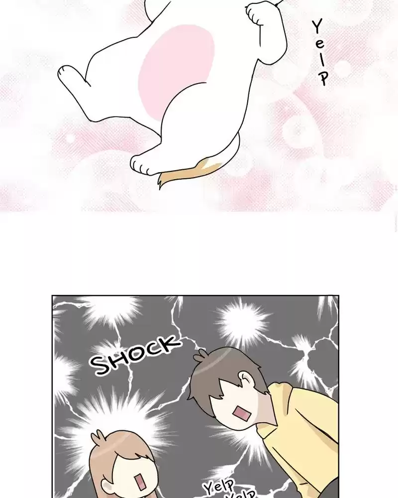 The Dog Diaries Chapter 4