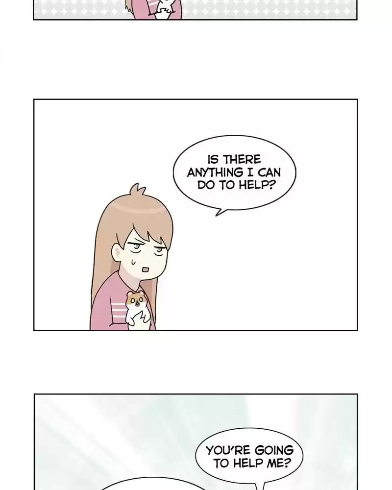 The Dog Diaries Chapter 4