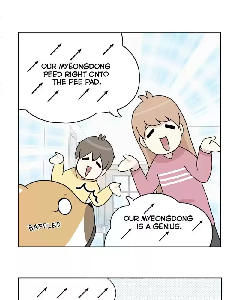 The Dog Diaries Chapter 4