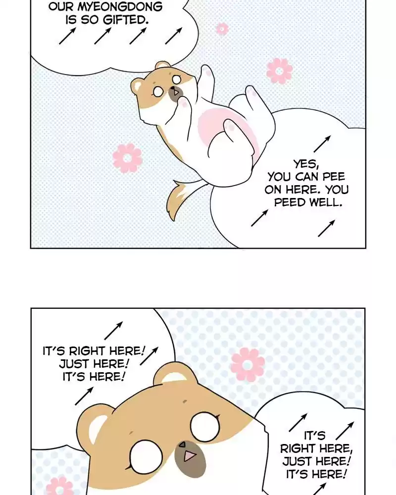 The Dog Diaries Chapter 4