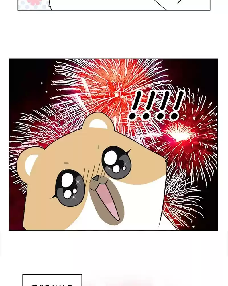 The Dog Diaries Chapter 4