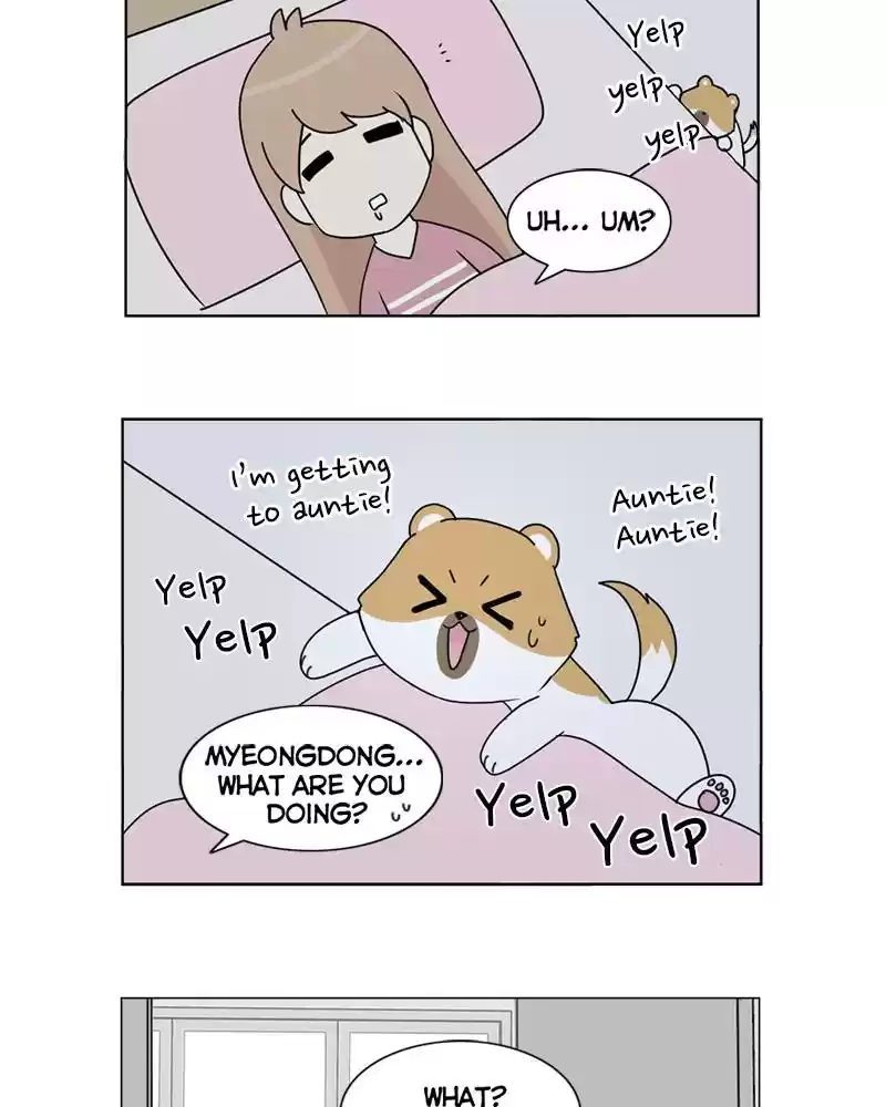 The Dog Diaries Chapter 4