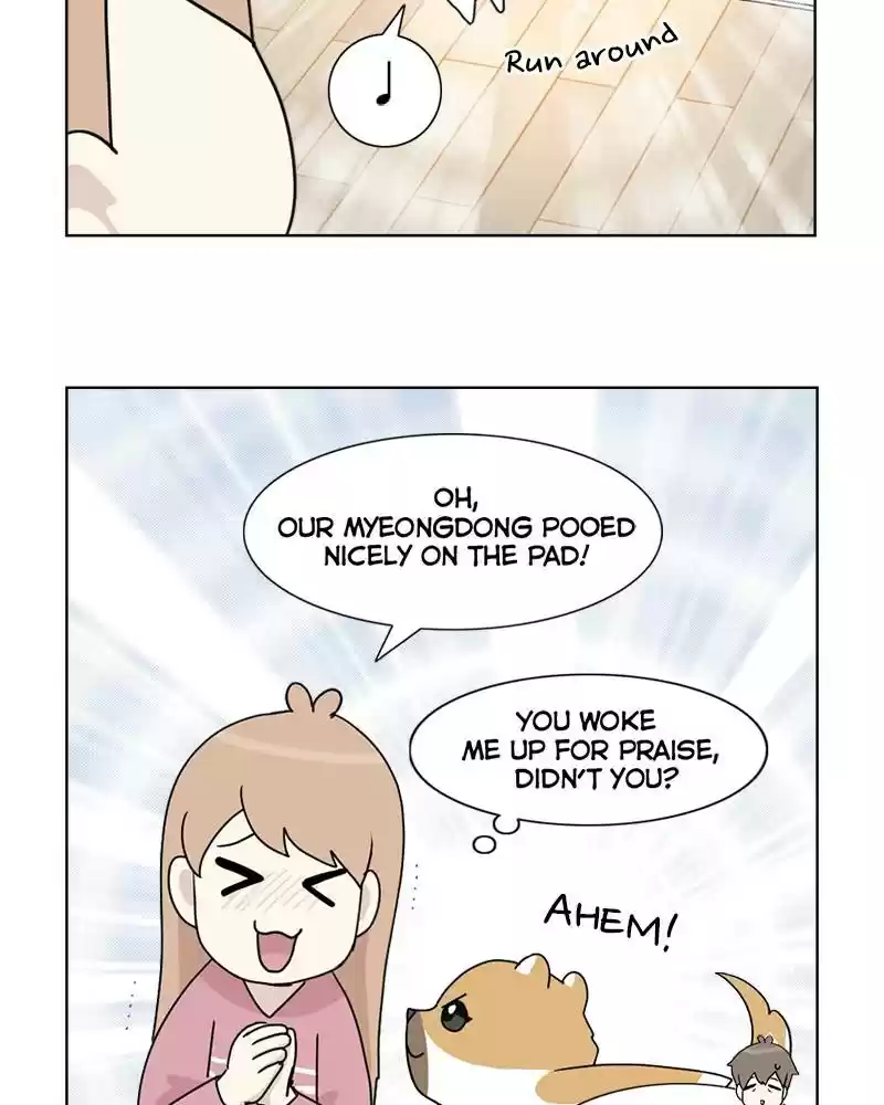 The Dog Diaries Chapter 4