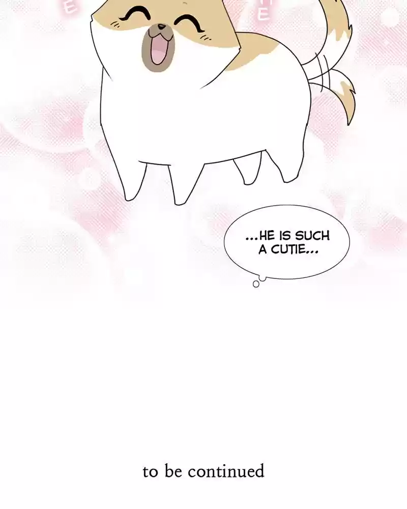 The Dog Diaries Chapter 4