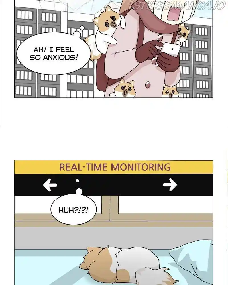 The Dog Diaries Chapter 40