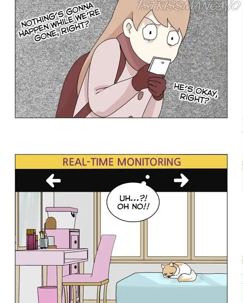 The Dog Diaries Chapter 40