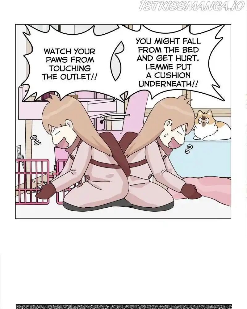 The Dog Diaries Chapter 40