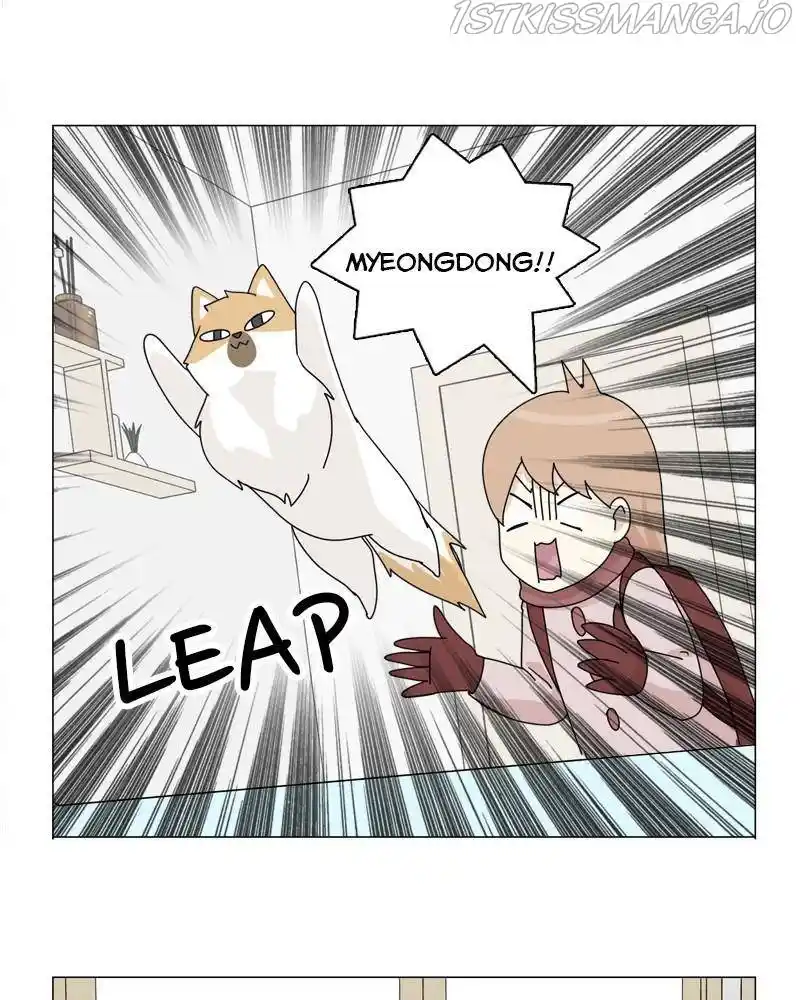 The Dog Diaries Chapter 40