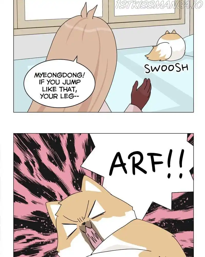 The Dog Diaries Chapter 40