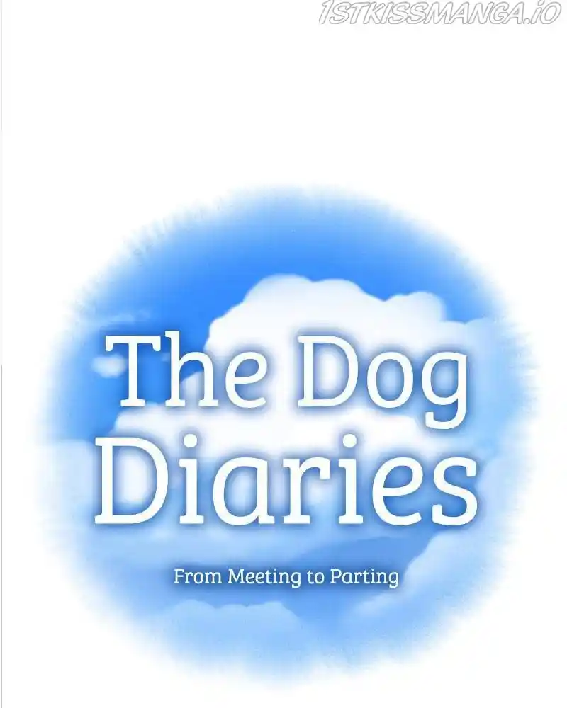 The Dog Diaries Chapter 40
