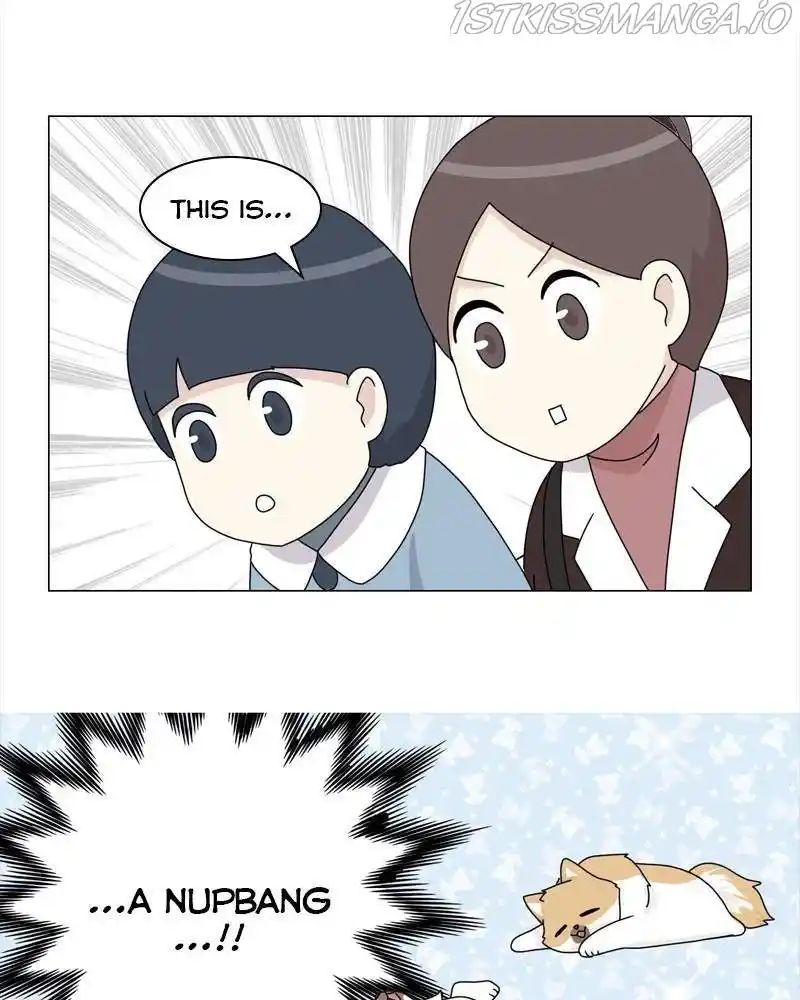 The Dog Diaries Chapter 40