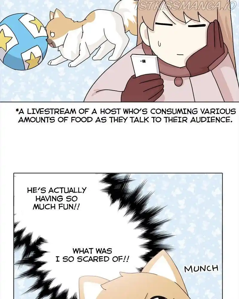 The Dog Diaries Chapter 40