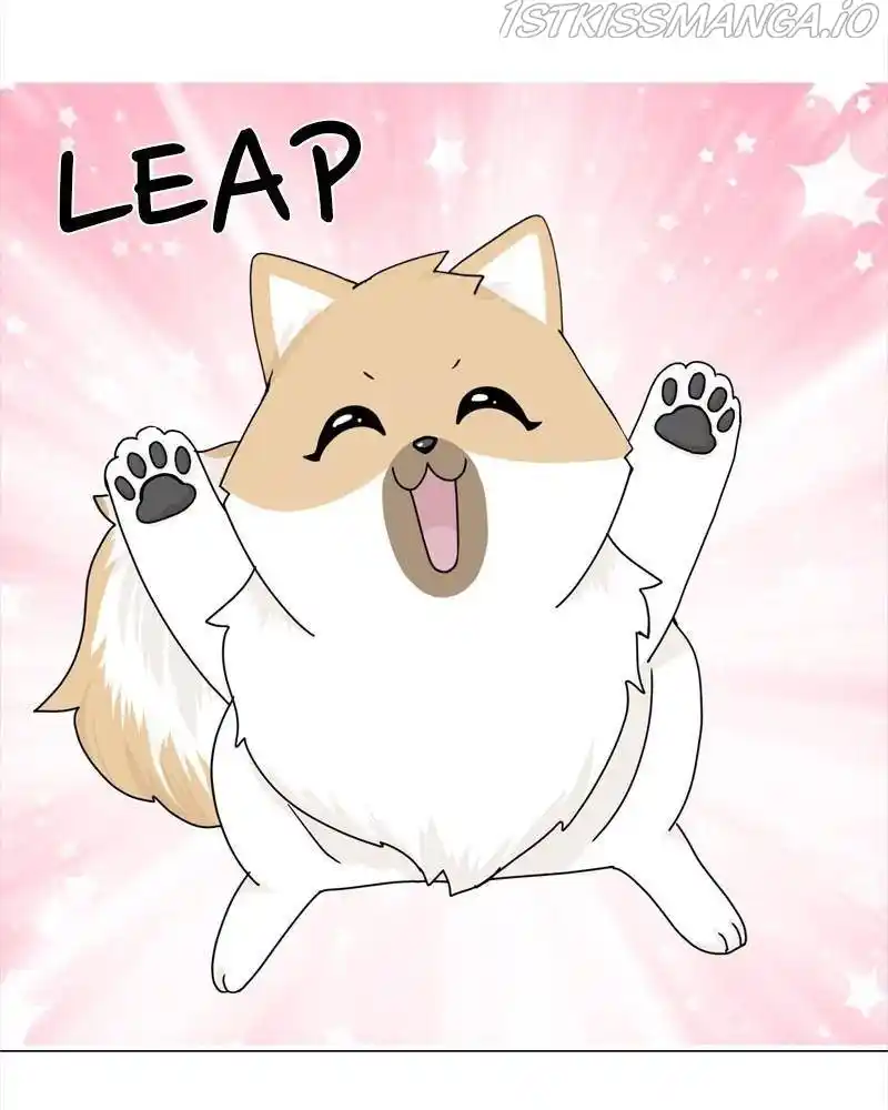 The Dog Diaries Chapter 40