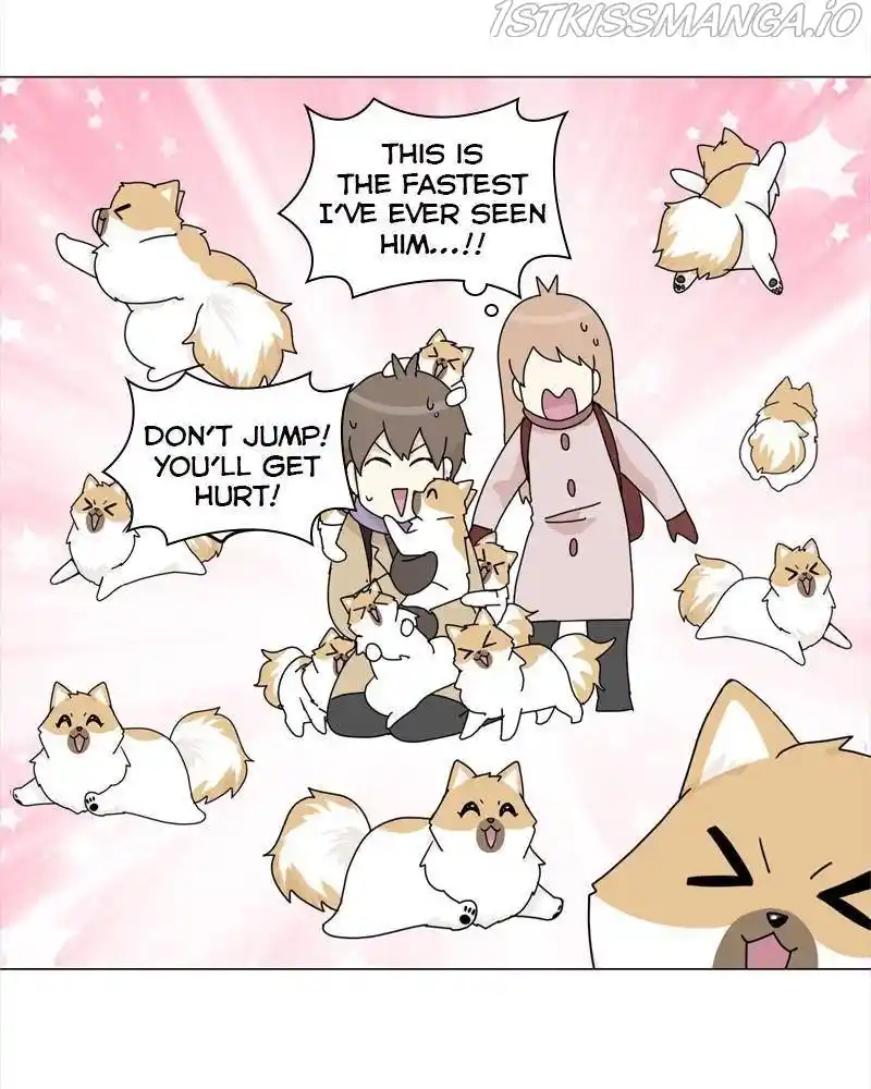 The Dog Diaries Chapter 40