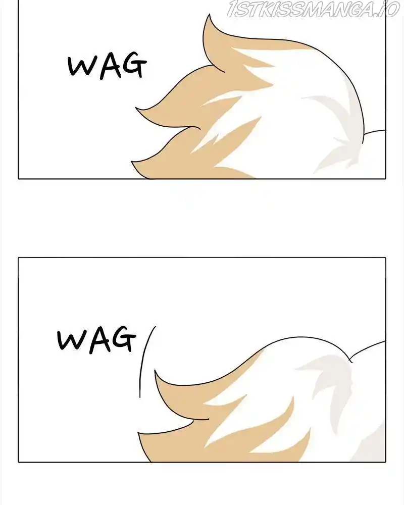 The Dog Diaries Chapter 40