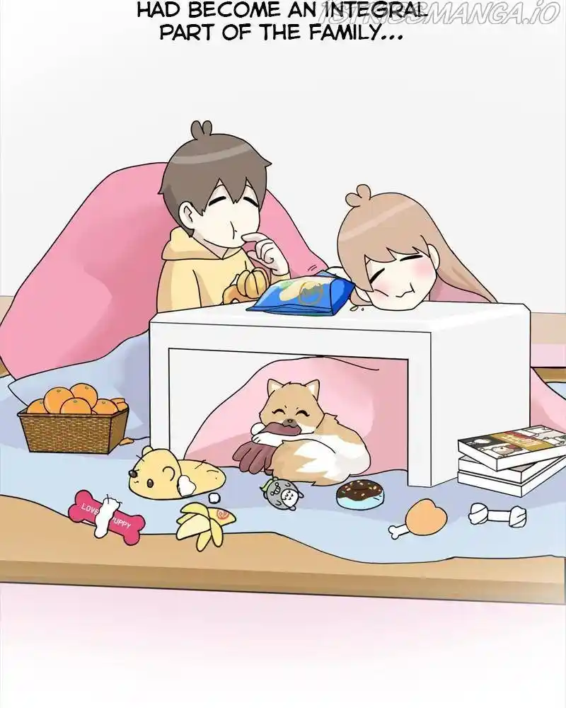 The Dog Diaries Chapter 40