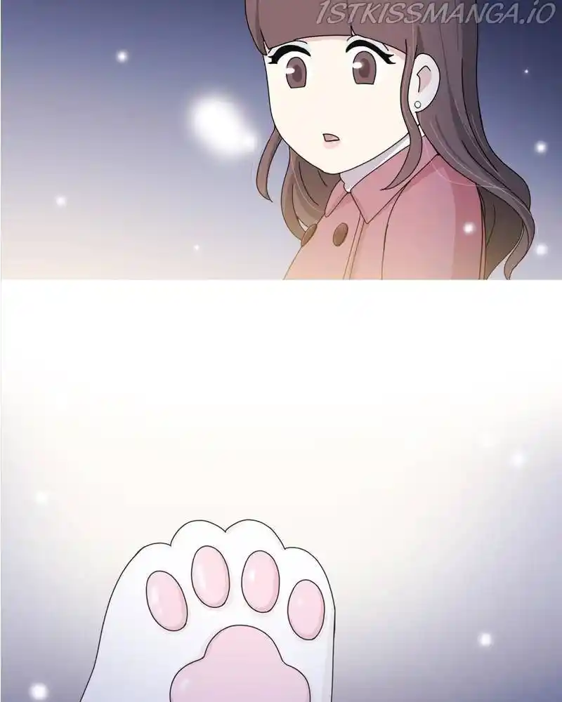 The Dog Diaries Chapter 40