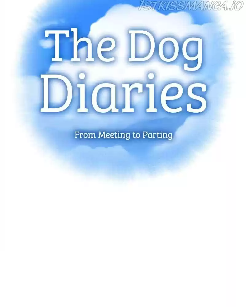 The Dog Diaries Chapter 41