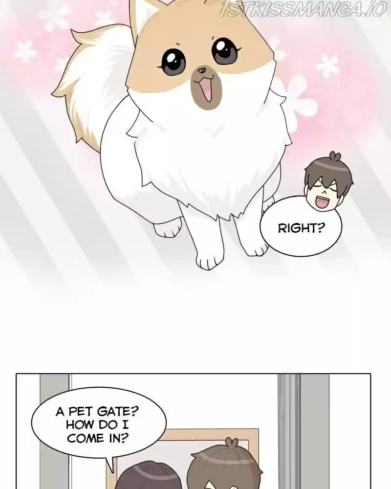 The Dog Diaries Chapter 41