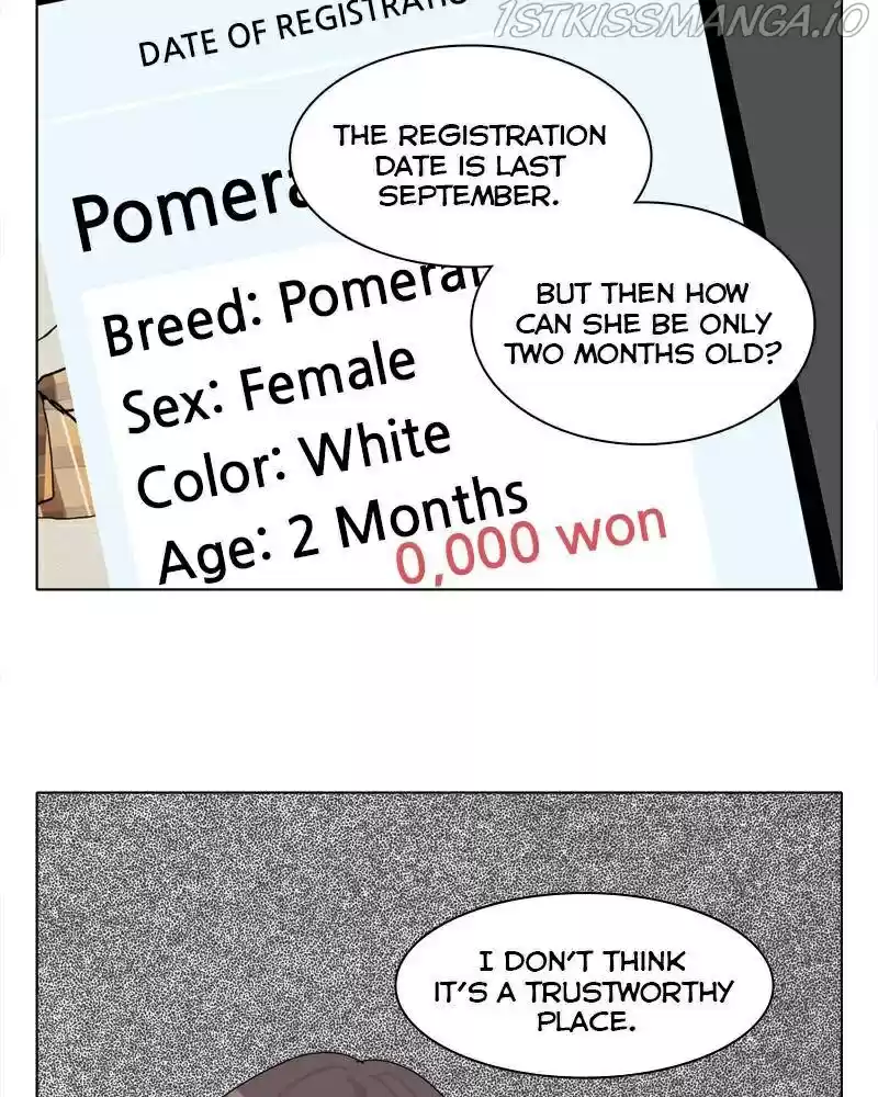 The Dog Diaries Chapter 41