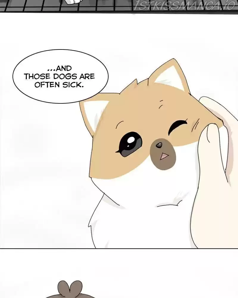 The Dog Diaries Chapter 41