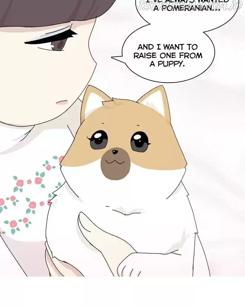 The Dog Diaries Chapter 41