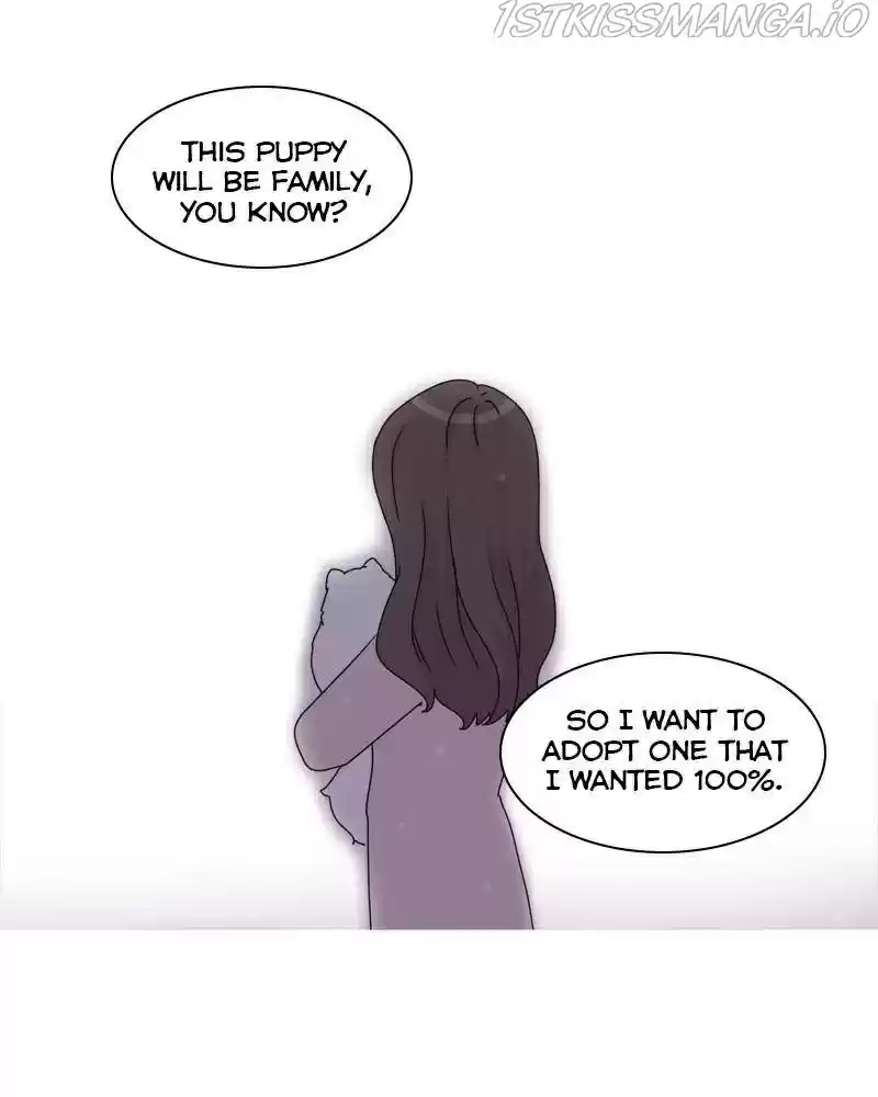 The Dog Diaries Chapter 41