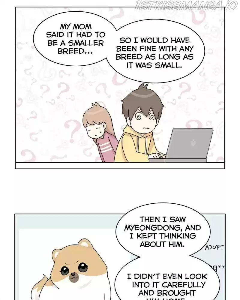 The Dog Diaries Chapter 41