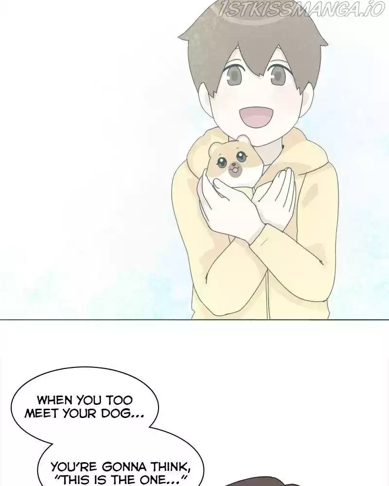 The Dog Diaries Chapter 41