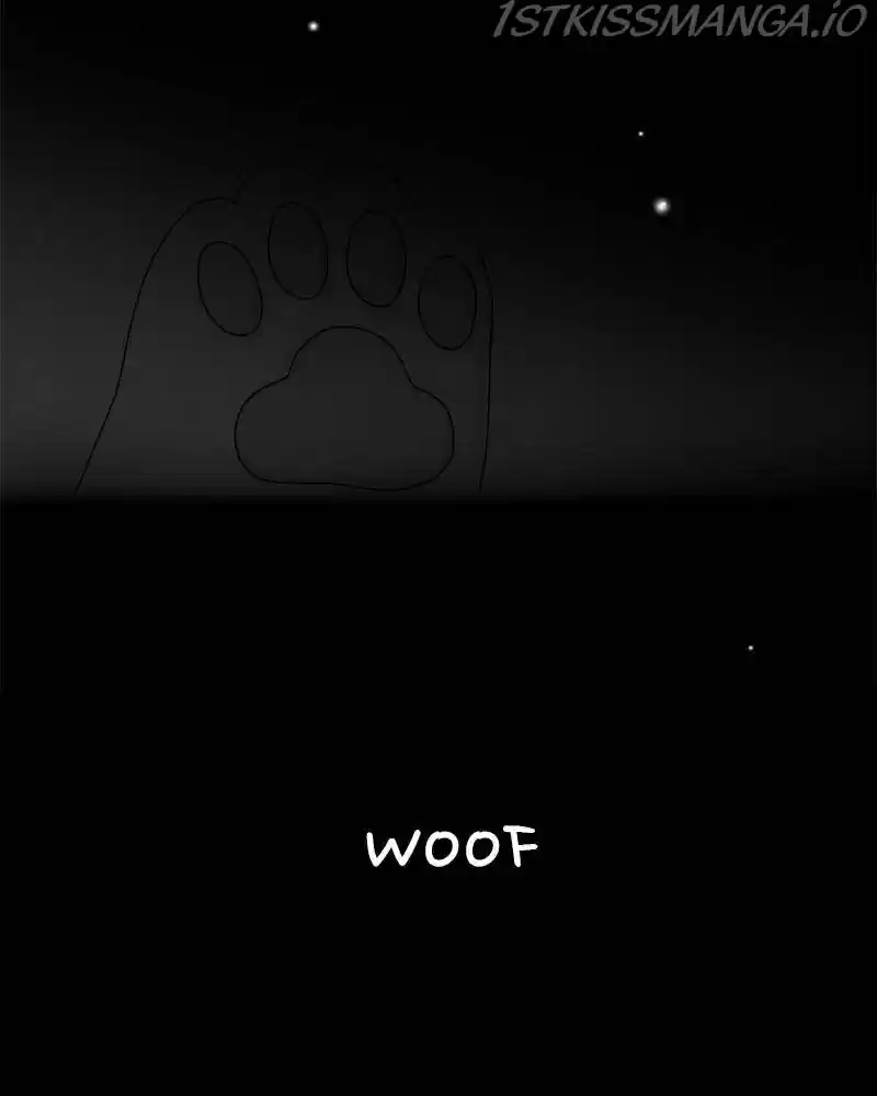 The Dog Diaries Chapter 41