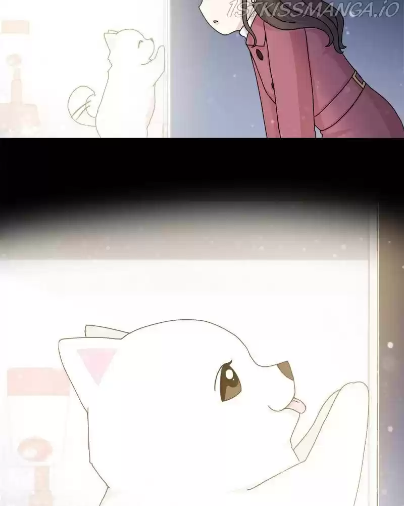 The Dog Diaries Chapter 41