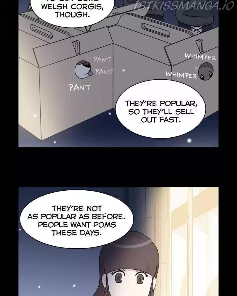 The Dog Diaries Chapter 41