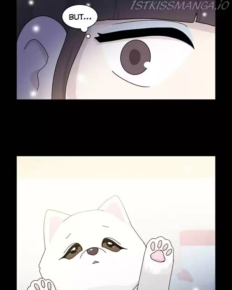 The Dog Diaries Chapter 41