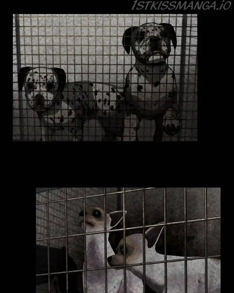 The Dog Diaries Chapter 42