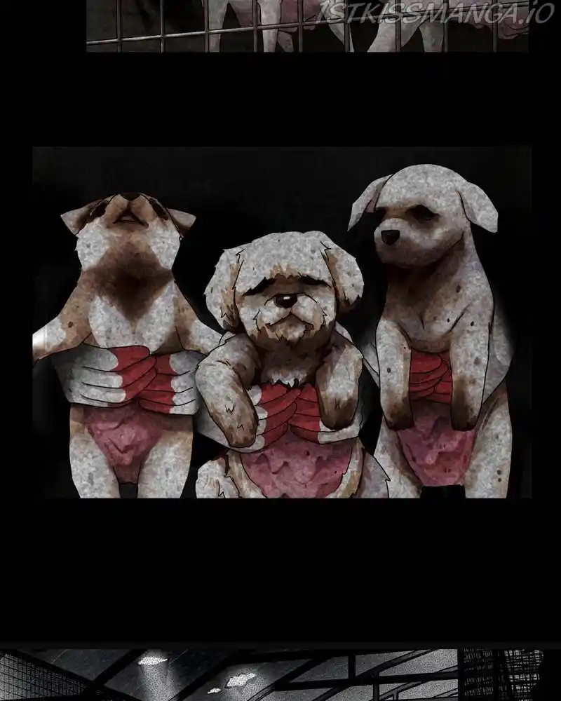 The Dog Diaries Chapter 42