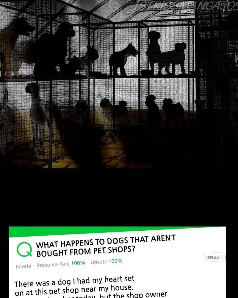 The Dog Diaries Chapter 42