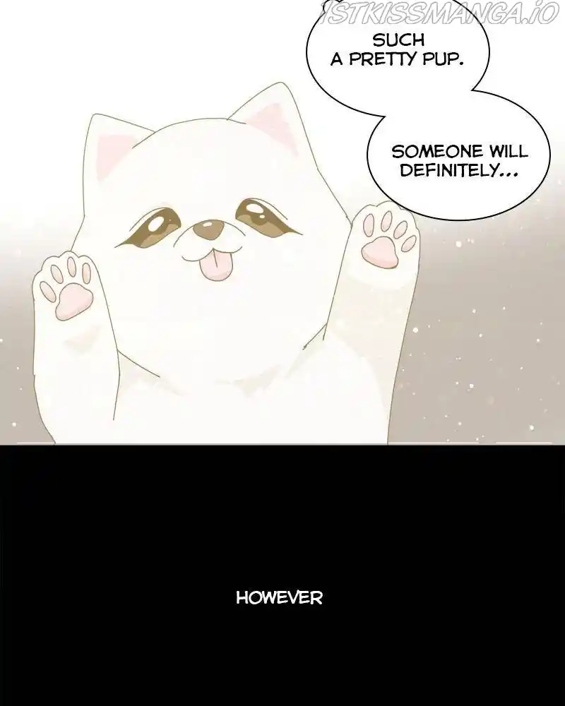 The Dog Diaries Chapter 42