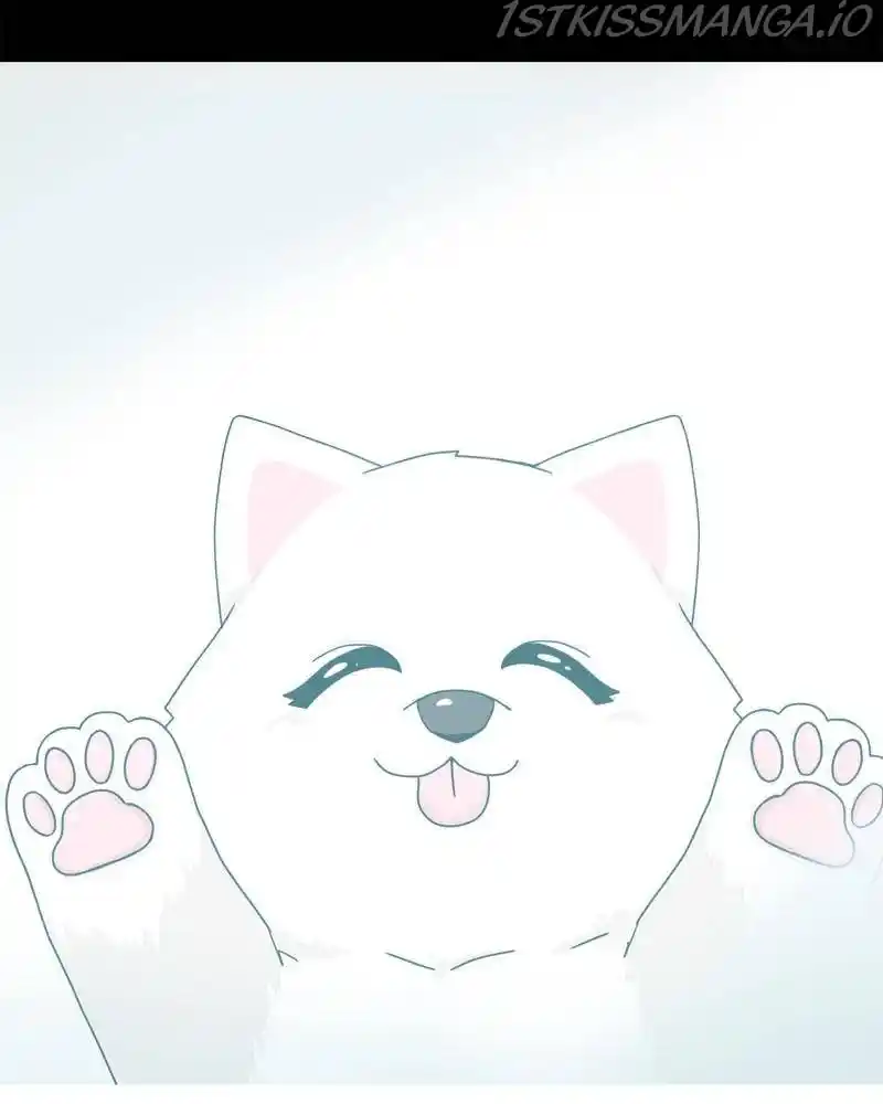 The Dog Diaries Chapter 42